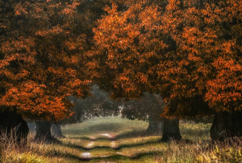 Architects Paper Fototapete "LDG" Vlies, Wand, Schräge von Architects Paper