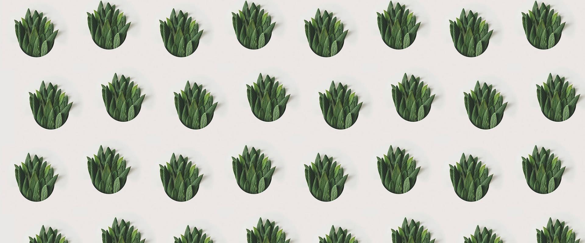 Architects Paper Fototapete "Leaf Pattern" Vlies, Wand, Schräge von Architects Paper