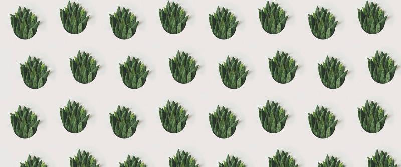 Architects Paper Fototapete "Leaf Pattern" Vlies, Wand, Schräge von Architects Paper