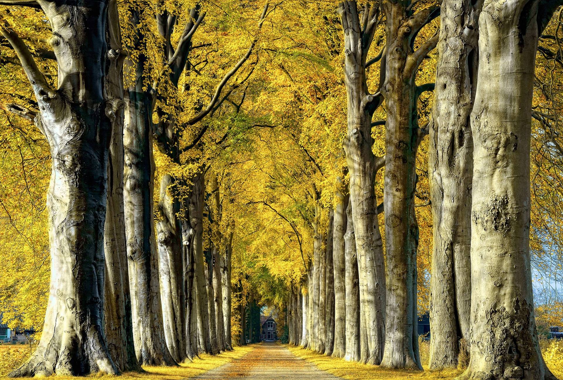 Architects Paper Fototapete "Room with a View" Vlies, Wand, Schräge von Architects Paper