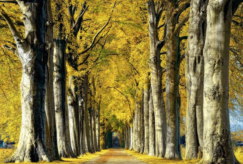 Architects Paper Fototapete "Room with a View" Vlies, Wand, Schräge von Architects Paper