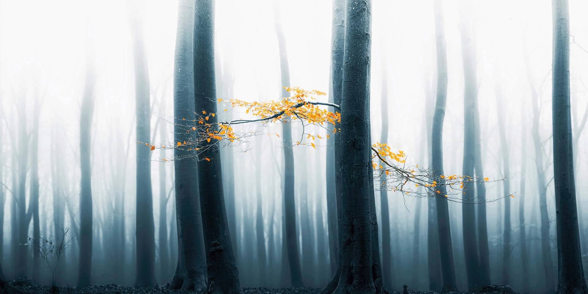 Architects Paper Fototapete "Speulder Revisited" Vlies, Wand, Schräge von Architects Paper