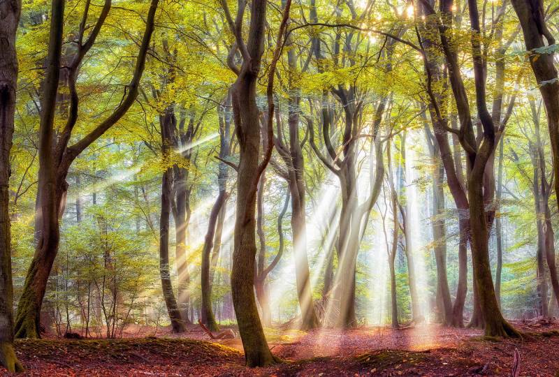 Architects Paper Fototapete "Start to Fall" Vlies, Wand, Schräge von Architects Paper