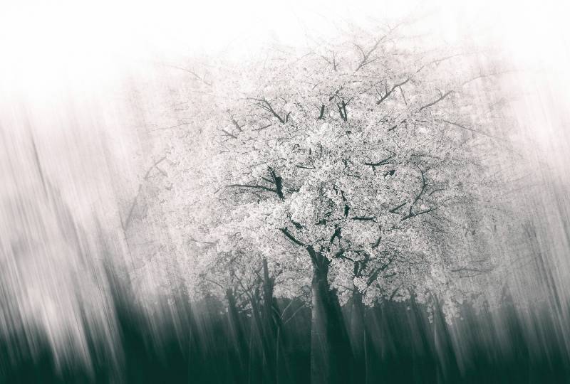 Architects Paper Fototapete "Streaks Spring" Vlies, Wand, Schräge von Architects Paper