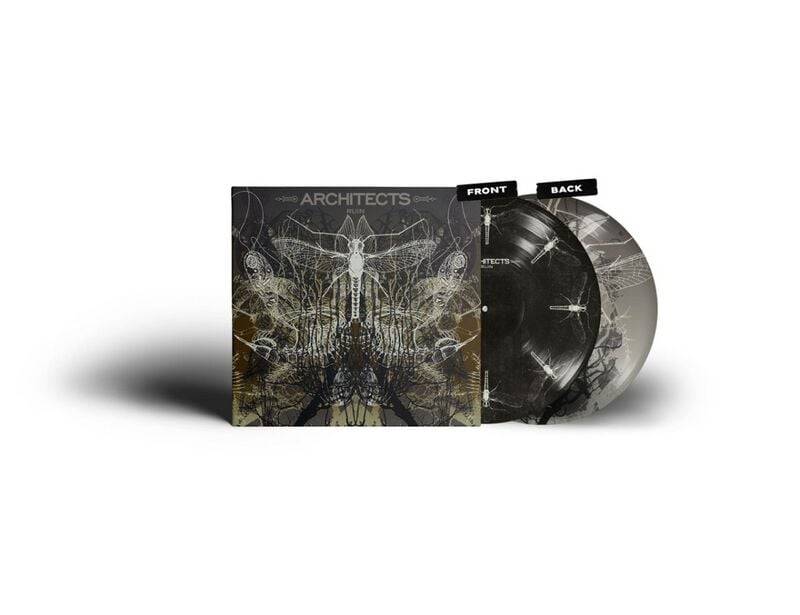 Architects Ruin LP multicolor von Architects