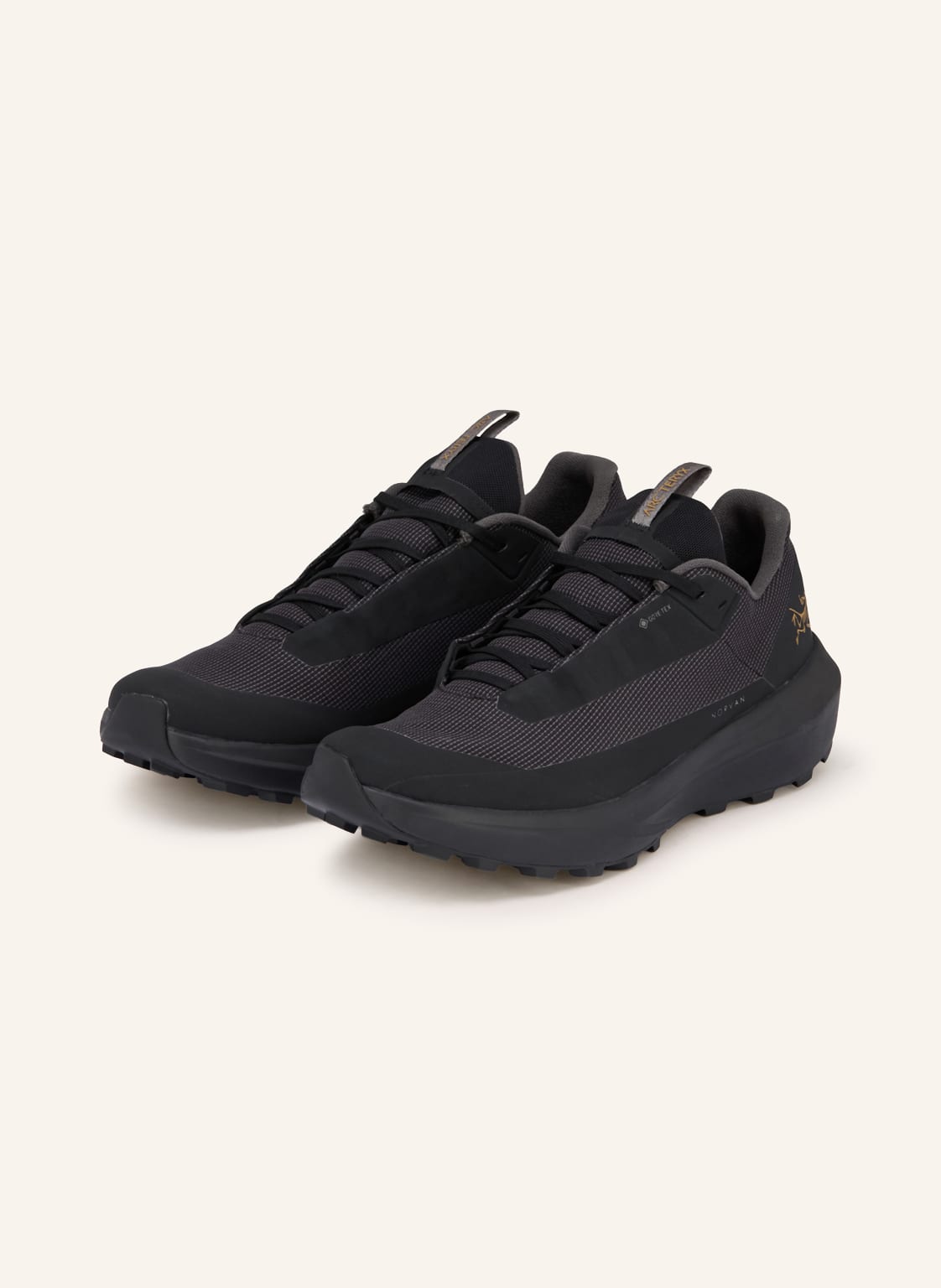 Arc'teryx Trailrunning-Schuhe Norvan Ld 4 Gtx schwarz von Arcteryx