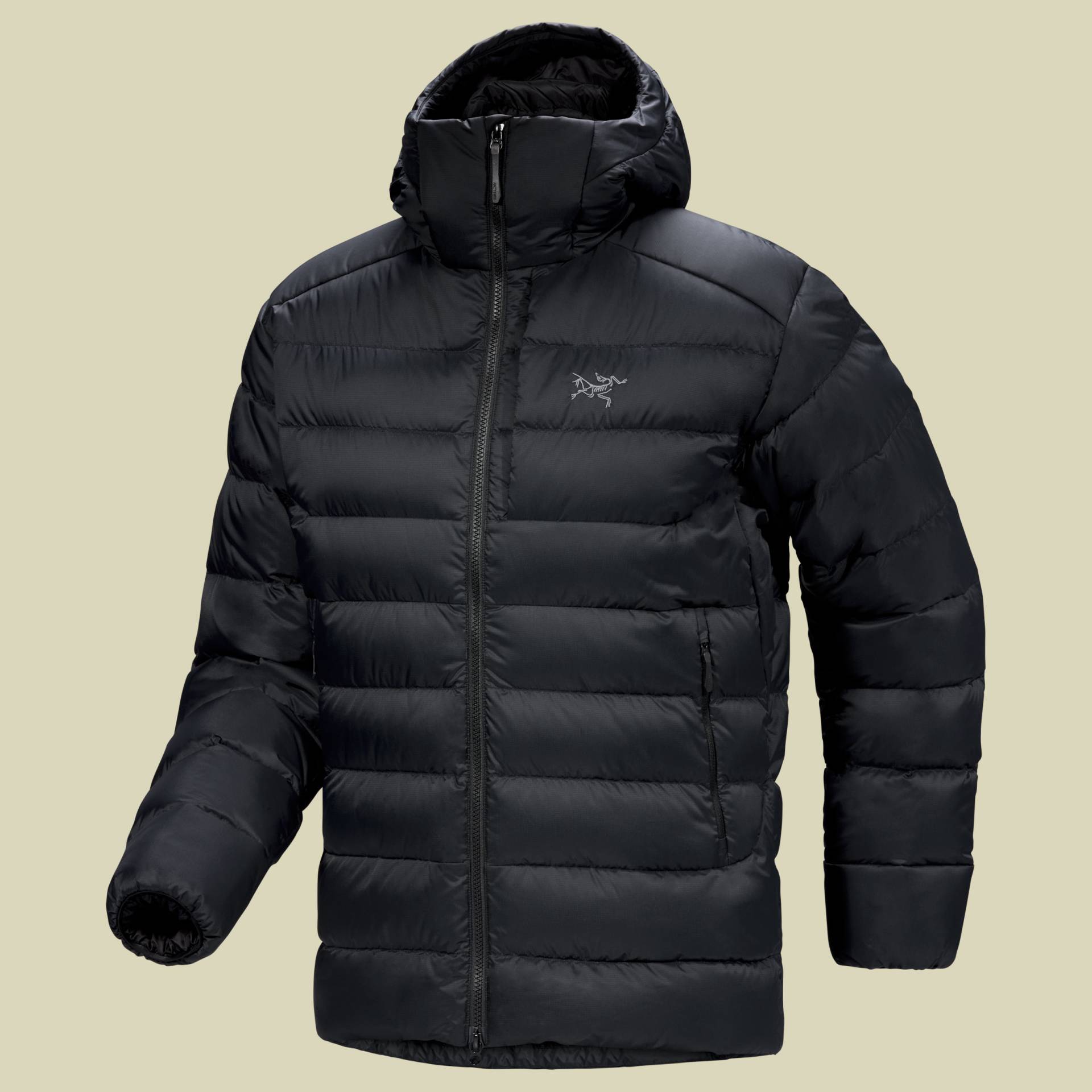 Thorium Hoody Men schwarz L - black von Arcteryx
