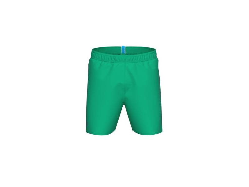 Arena Badeshorts FUNDAMENTALS ARENA LOGO BOXER GREEN QUARTZ-PURPLE BLUE von Arena