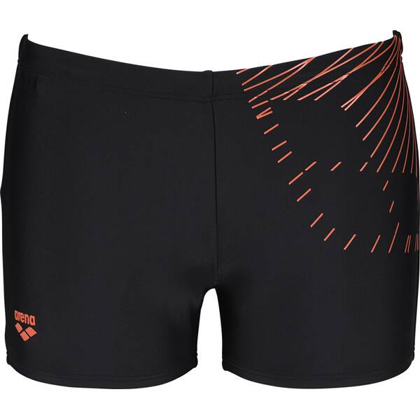 arena Herren Badeshorts Trick von Arena