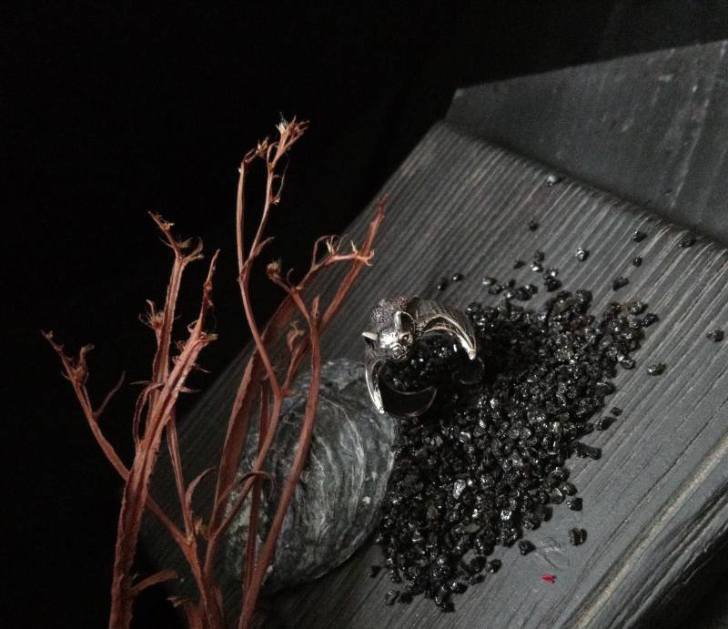 Okkulter Schmuck 925 Sterling Silber Fledermaus Ring Tier Hexe Ringe 14K Gold Pagan Männer Schutz Symbol Geschenk Für Frauen von ArgentumArtStudio