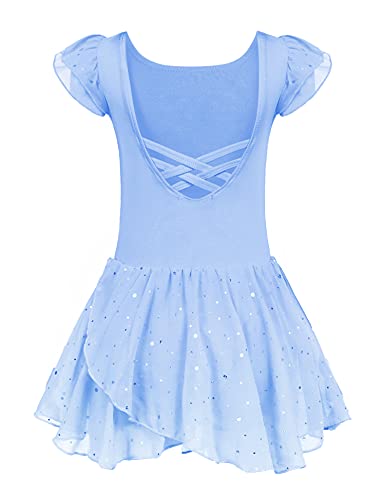 Arshiner Ballettkleidung Mädchen Ballettkleid Blau Ballett Trikot Lila Tanzkleid Maedchen Ballettkleid mit Rock Tütü Tanzoutfits Ballerina Kleid 2-3 Jahre von Arshiner