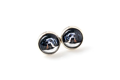Art-Dog Ohrringe mit Hundefotos | Handgefertigter Schmuck | Durchmesser 12mm | Antiallergisch ohne Nickel, Farbe Silber | Geschenkidee | Rottweiler von Art-Dog