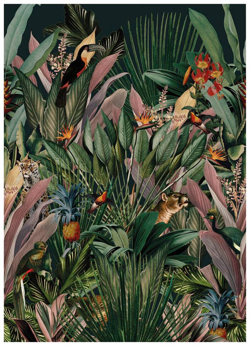 Art for the home Fototapete "Aaliyah" botanisch glatt 280x200 cm von Art For The Home