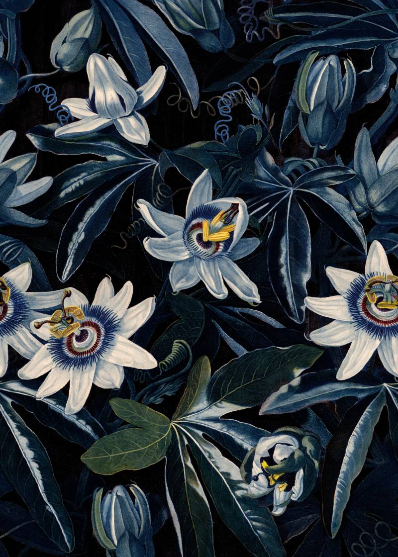 Art for the home Fototapete "Blumenmeer" geblümt glatt Blumenmeer Passionsblume280x200 cm von Art For The Home