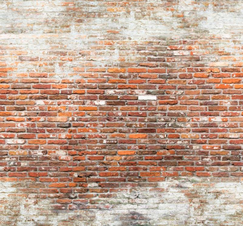 Art for the home Fototapete "Brick wall 2" animal print glatt 300 cm Länge von Art For The Home