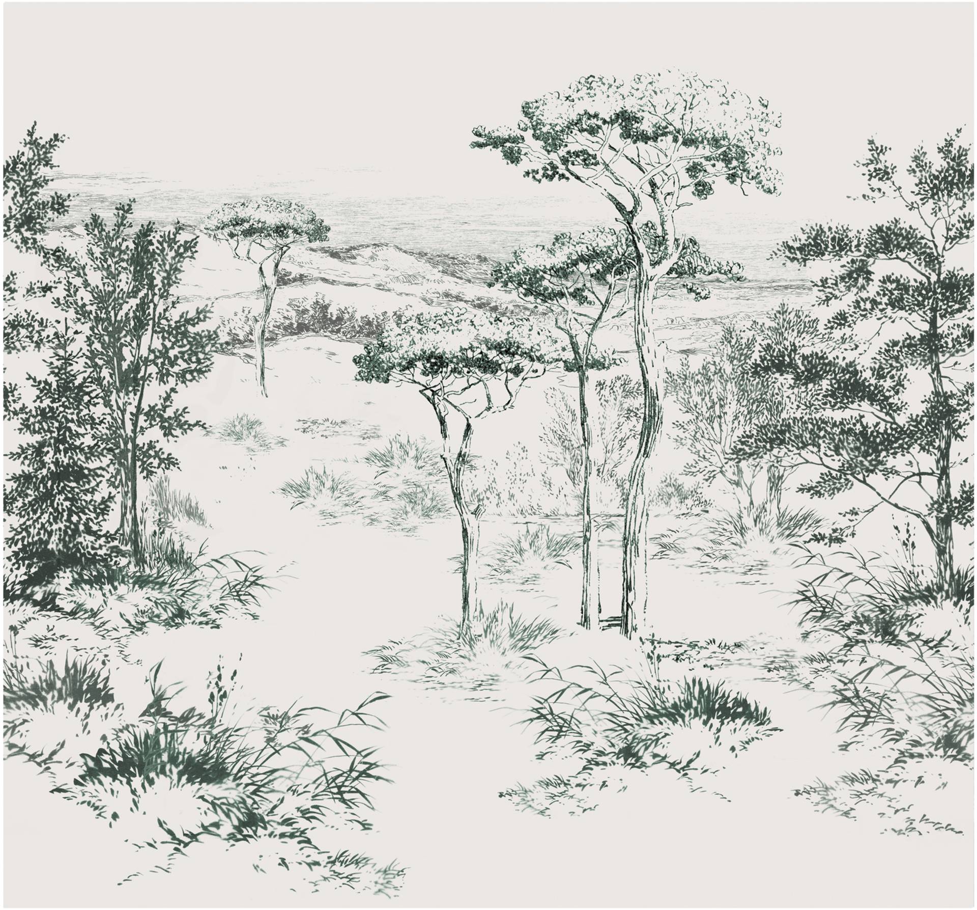 Art for the home Fototapete "Jaxx" Motiv glatt Motiv von Art For The Home