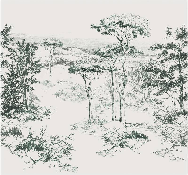 Art for the home Fototapete "Jaxx" Motiv glatt Motiv von Art For The Home