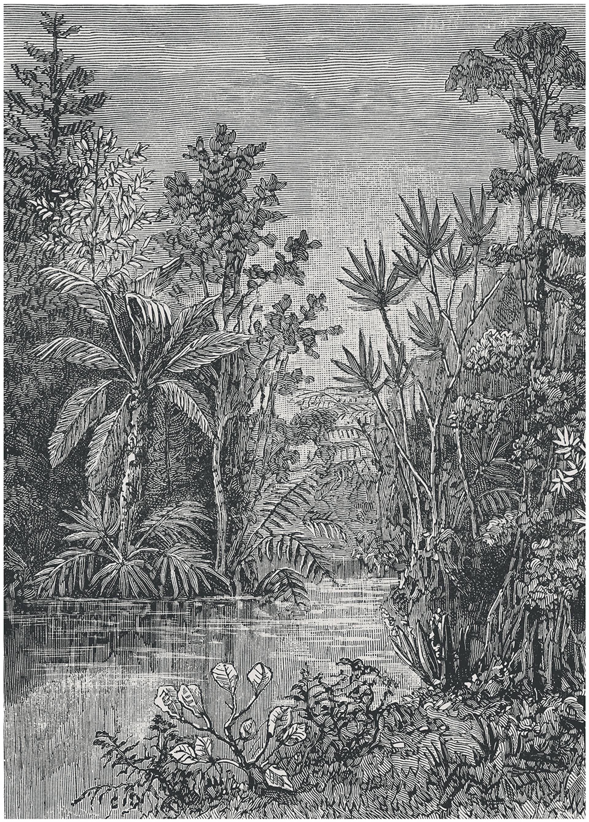 Art for the home Fototapete "Jungle" animal print glatt 200 cm Länge von Art For The Home