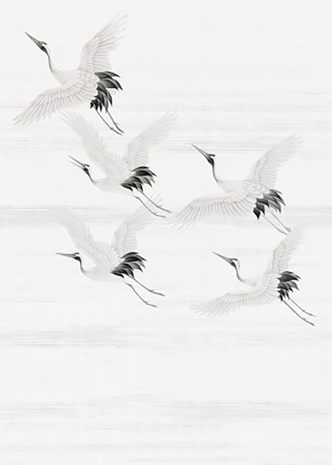 Art for the home Fototapete "Kran" animal print glatt Kran Vögel280x200 cmBlumen / Tieren Weiß von Art For The Home