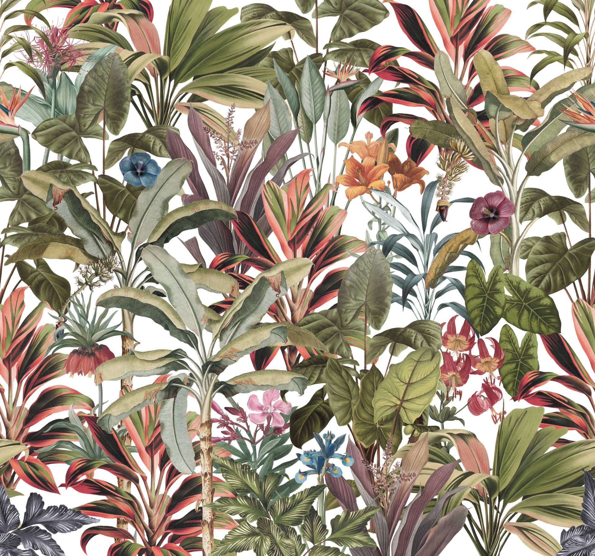 Art for the home Fototapete "Leonie" botanisch glatt Bunt - 300x280cm von Art For The Home