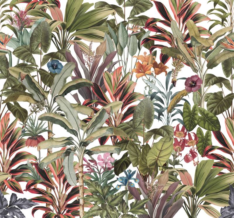 Art for the home Fototapete "Leonie" botanisch glatt Bunt - 300x280cm von Art For The Home