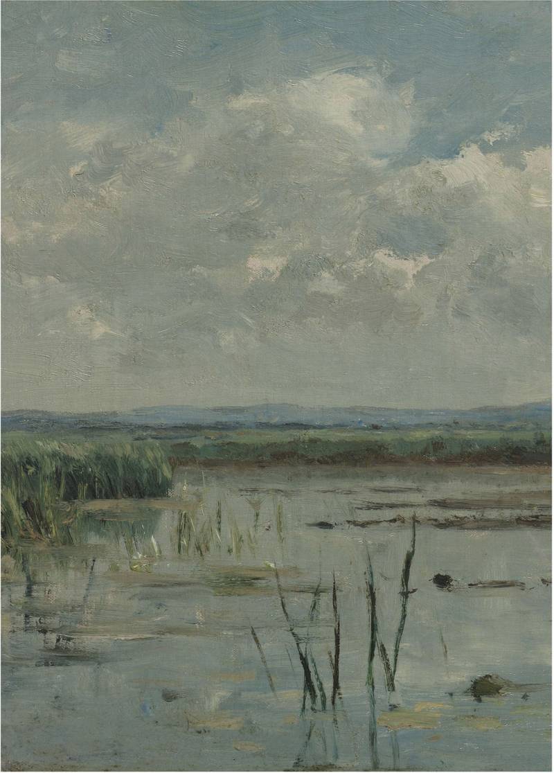 Art for the home Fototapete "Natur" Motiv glatt Motiv von Art For The Home