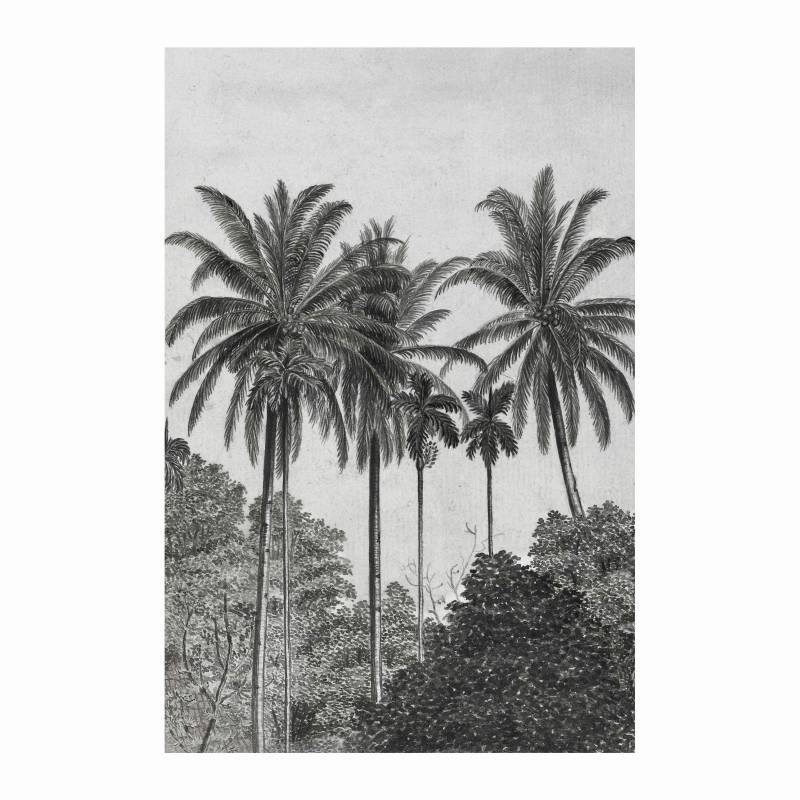 Art for the home Fototapete "Palmen" botanisch glatt 200 cm Länge von Art For The Home