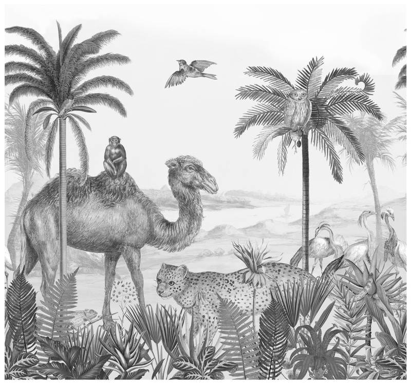 Art for the home Fototapete "Safari" botanisch glatt 280x300 cm von Art For The Home