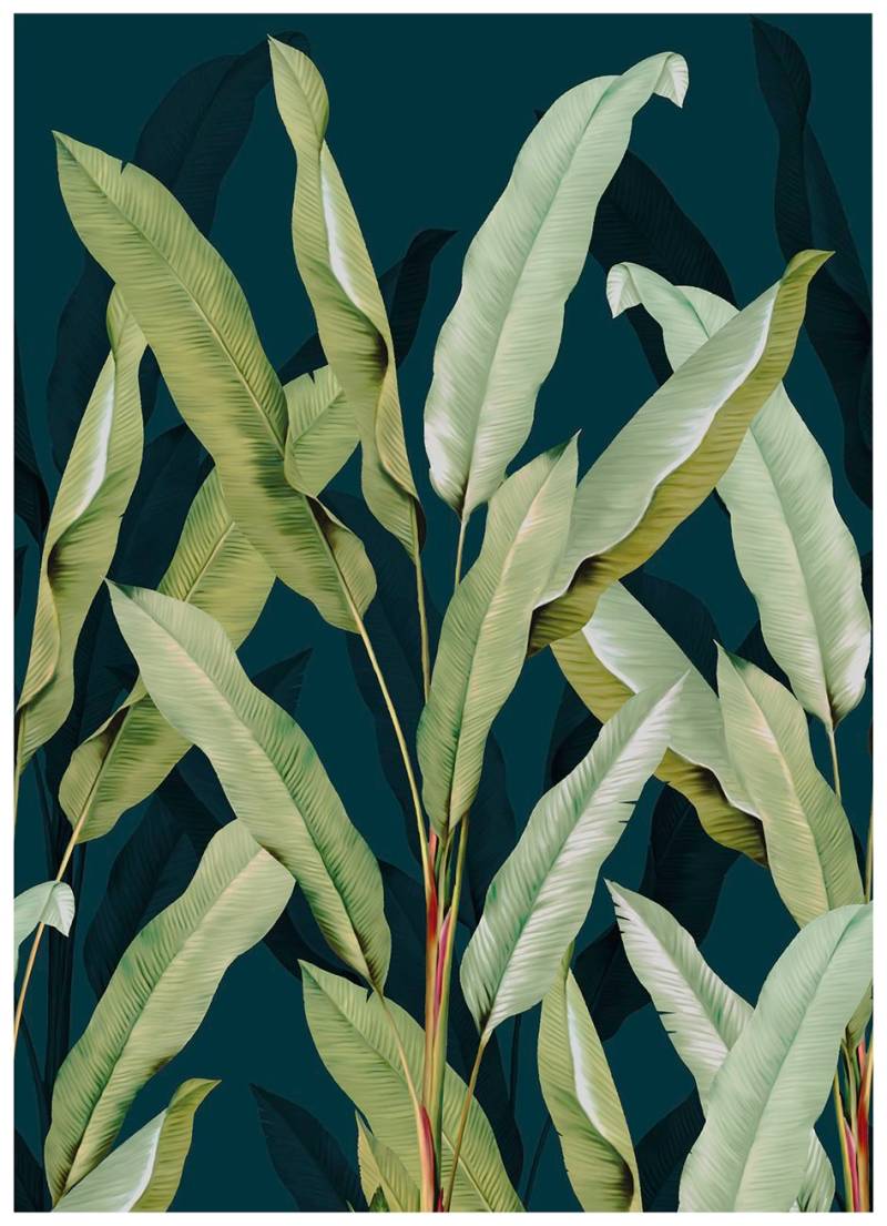 Art for the home Fototapete "Tatum" botanisch glatt 280x200 cm von Art For The Home