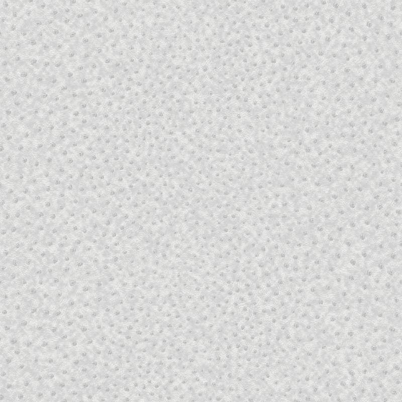 Art for the home Vliestapete "Skin Ostrich" geprägt 1000 cm Länge Art for the home Vliestapete "Skin Ostrich" geprägt 1000 cm Länge von Art For The Home