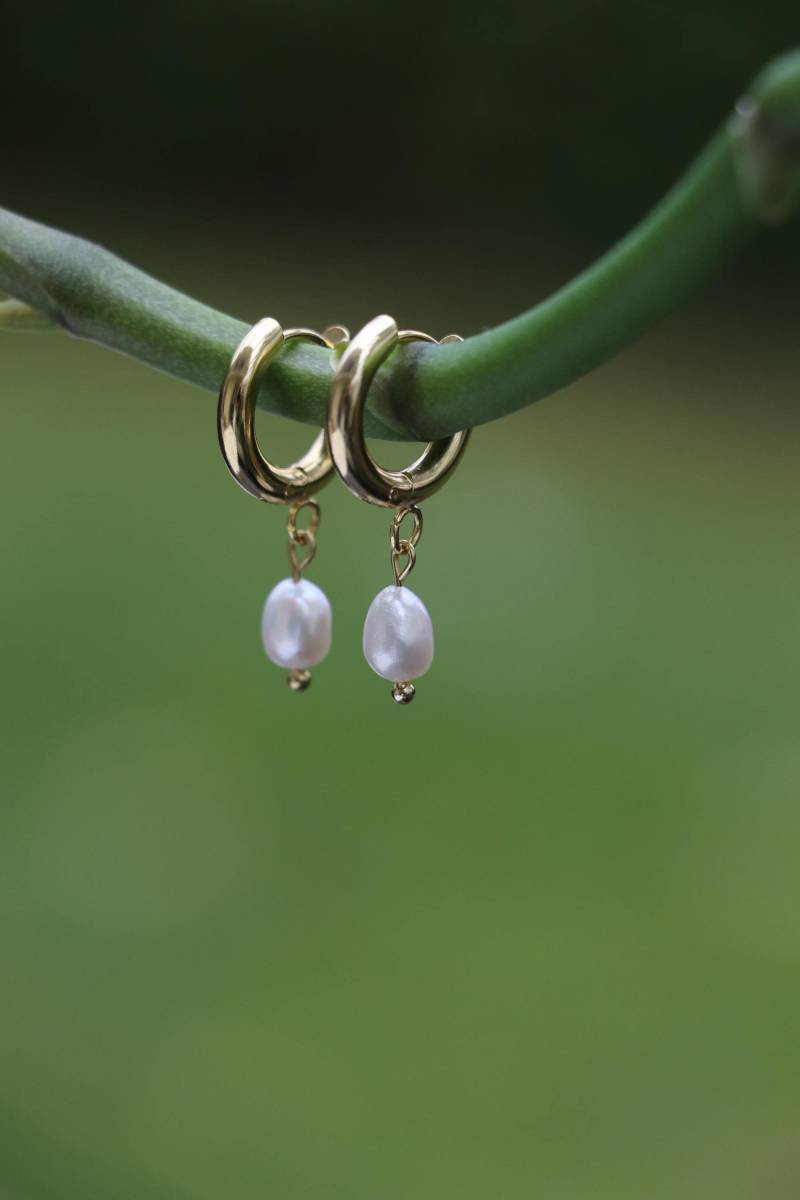 Handgemachte Creolen Mit Süßwasserperle, Perlenohrringe, Edelstahlohrringe, Ohrringe Gold, Geschenk Für Sie Handgemachte Creolen Mit Süßwasserperle, Perlenohrringe, Edelstahlohrringe, Ohrringe Gold, Geschenk Für Sie von ArtKatinka