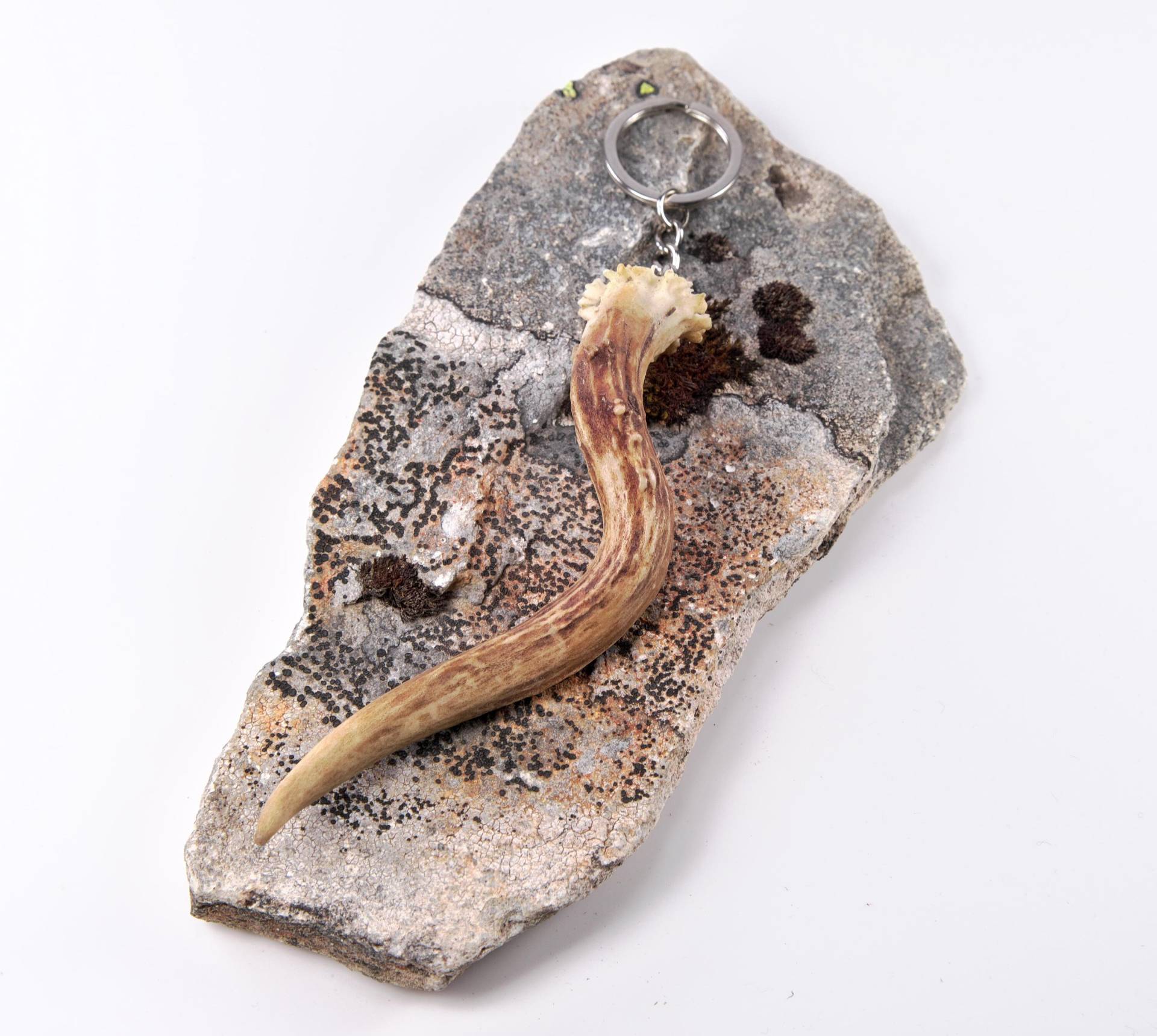 Geweih Schlüsselanhänger - Rehbock Schlüsselring- Schlüsselorganizer Geschenk Mann Frau Jäger Jägerin Weihnachtsgeschenk Geweih Schlüsselanhänger - Rehbock Schlüsselring- Schlüsselorganizer Geschenk Mann Frau Jäger Jägerin Weihnachtsgeschenk von ArtNaturae