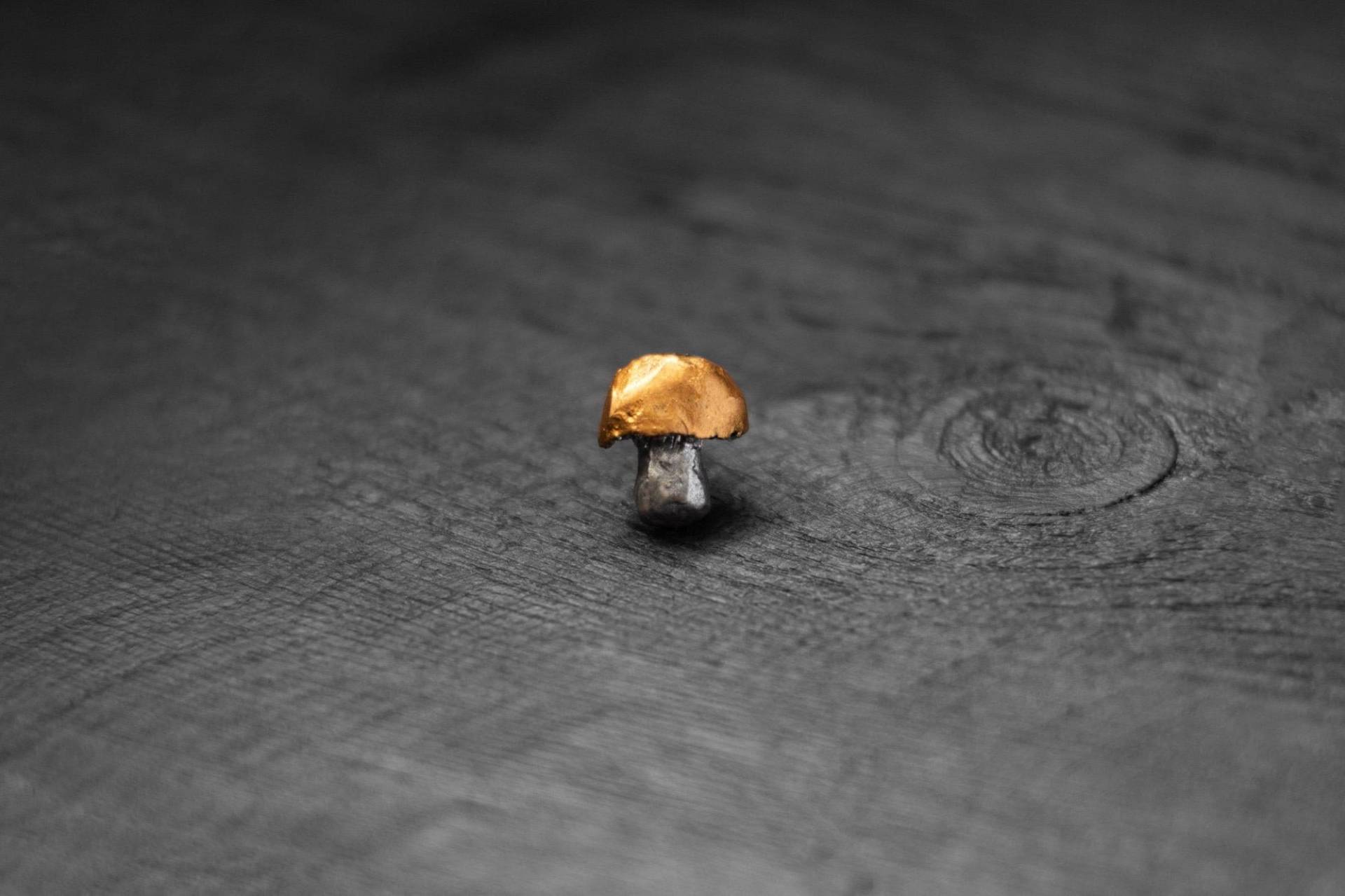 Handgemachte Pilz Brosche Stilvolle Anstecknadel Aus Polymer Clay von ArtTerraceTreasures