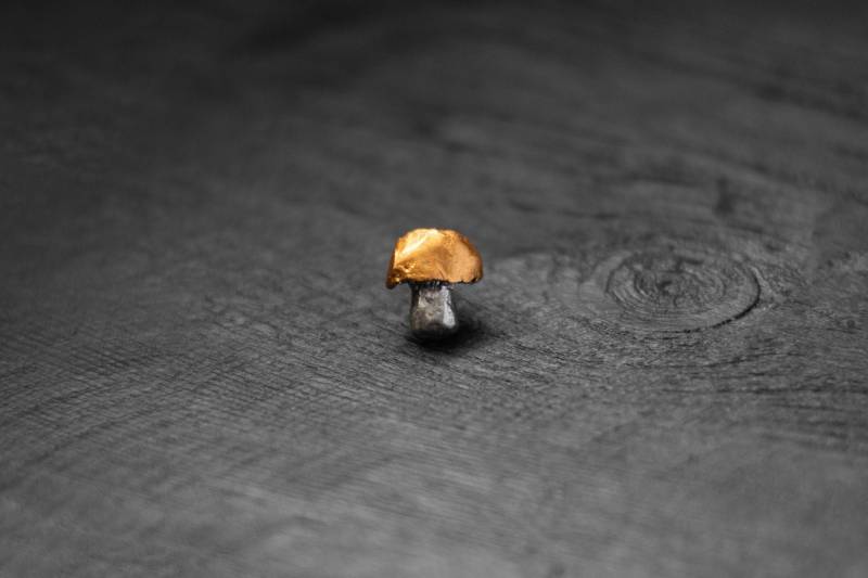 Handgemachte Pilz Brosche Stilvolle Anstecknadel Aus Polymer Clay von ArtTerraceTreasures