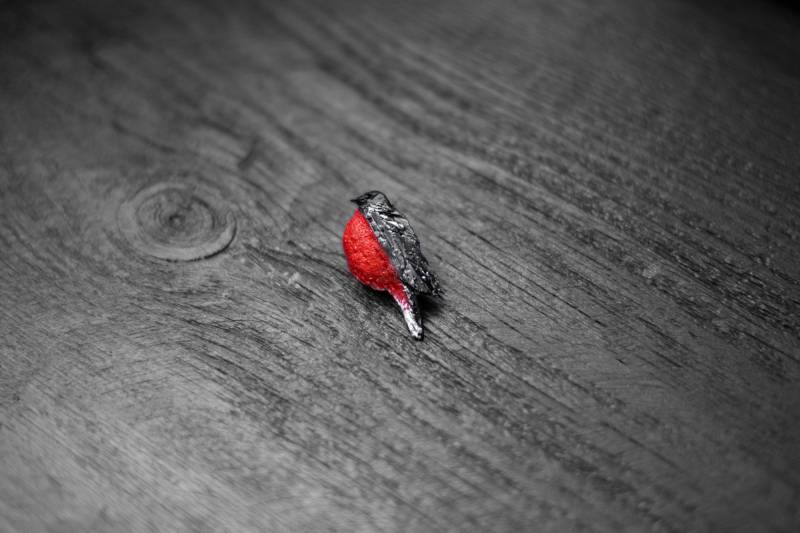 Handgemachte Rotkehlchen Brosche Polymer Clay Vogel Anstecknadel von ArtTerraceTreasures