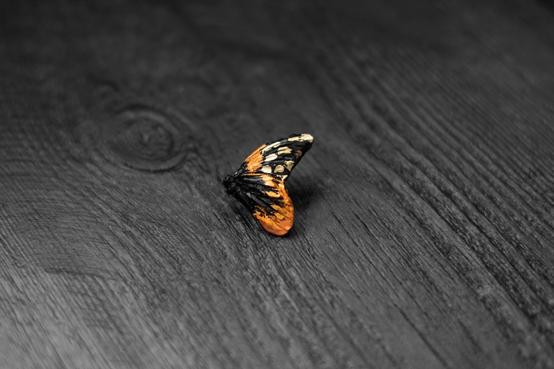 Handgemachte Schmetterlings-Brosche Aus Polymer Clay Outfit Pin von ArtTerraceTreasures