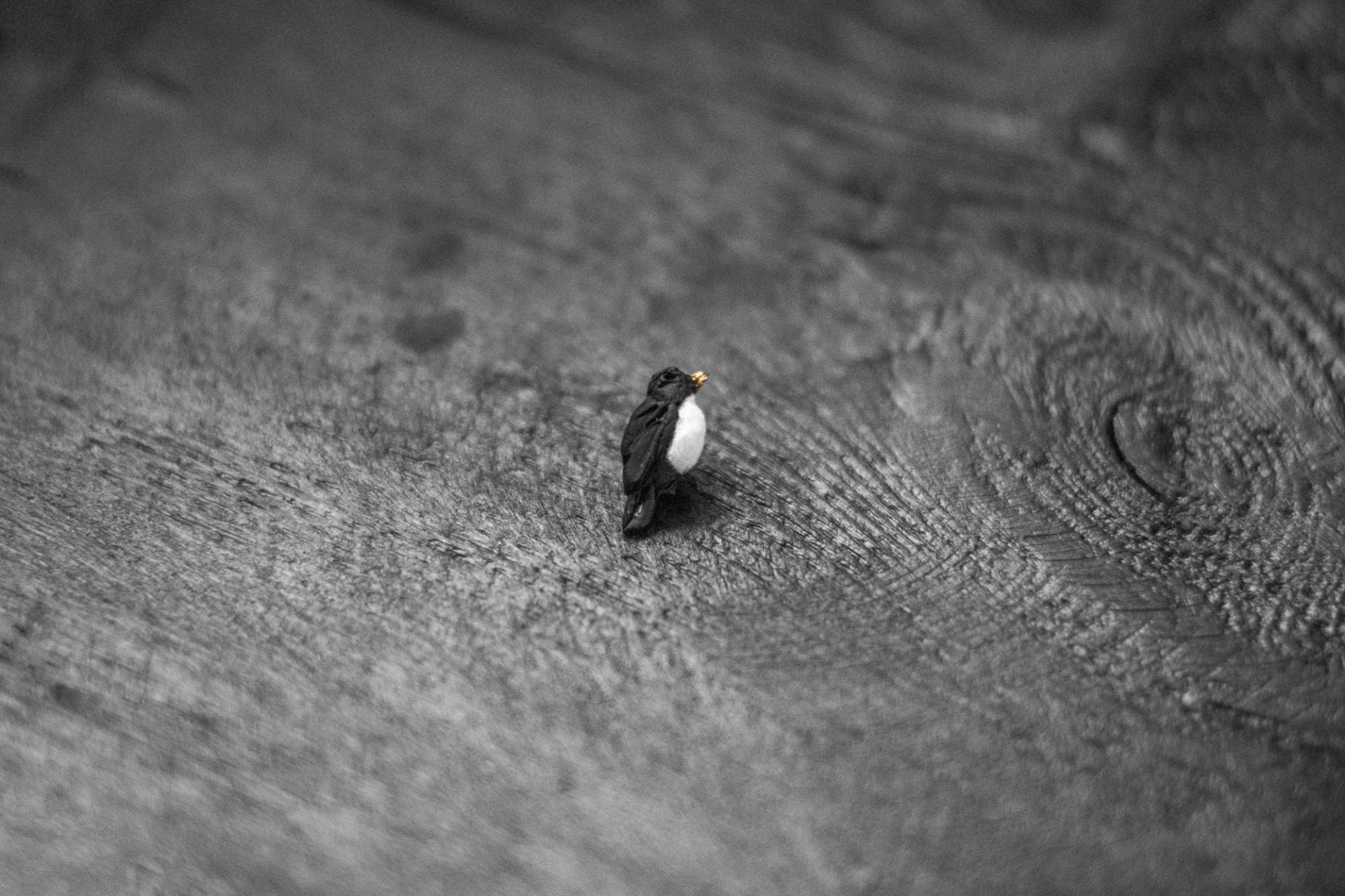 Kleine Vogel Brosche Handgemachte Cinclus Anstecknadel Aus Polymer Clay von ArtTerraceTreasures