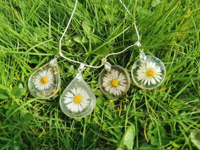 Echtes Gänseblümchen in Epoxy Anhängern; Echte Blumen-Schmuck von ArtbyNuriaM