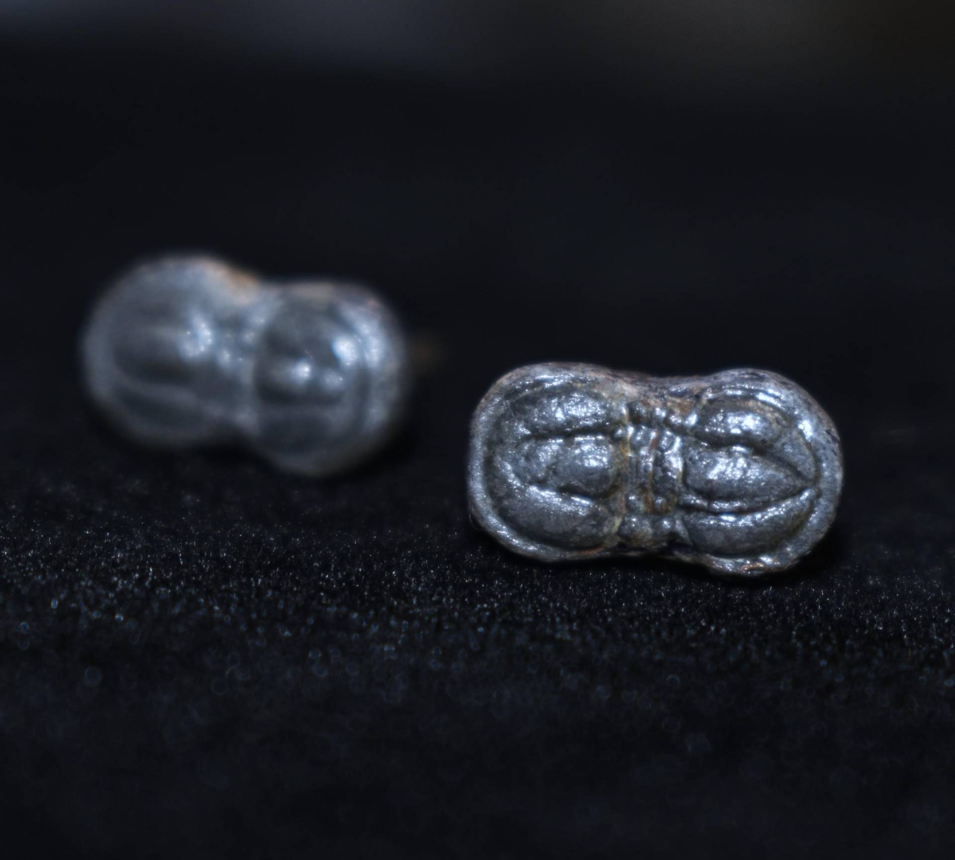 Agnostid Trilobit Sterling Silber Ohrringe Fossiler Schmuck Agnostid Trilobit Sterling Silber Ohrringe Fossiler Schmuck von ArtifactsandFossils