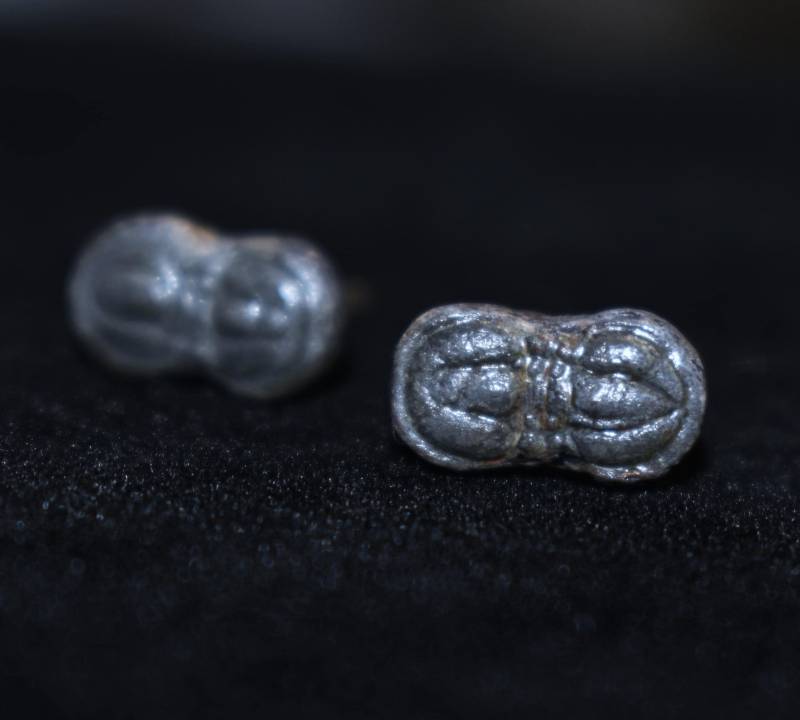 Agnostid Trilobit Sterling Silber Ohrringe Fossiler Schmuck Agnostid Trilobit Sterling Silber Ohrringe Fossiler Schmuck von ArtifactsandFossils