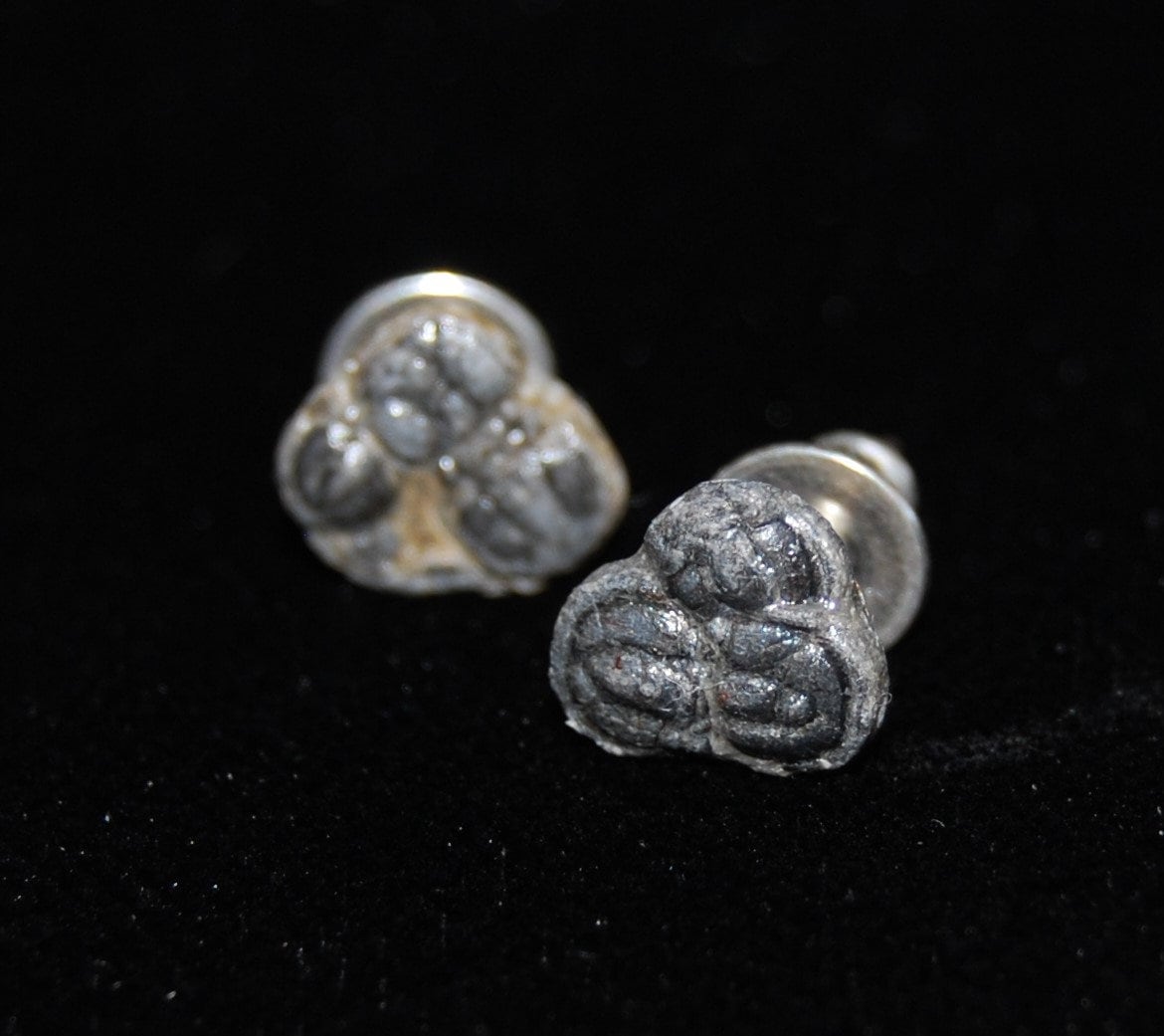 Agnostid Verschlungene Trilobit Ohrringe Mit Sterling Silber Steckern Agnostid Verschlungene Trilobit Ohrringe Mit Sterling Silber Steckern von ArtifactsandFossils