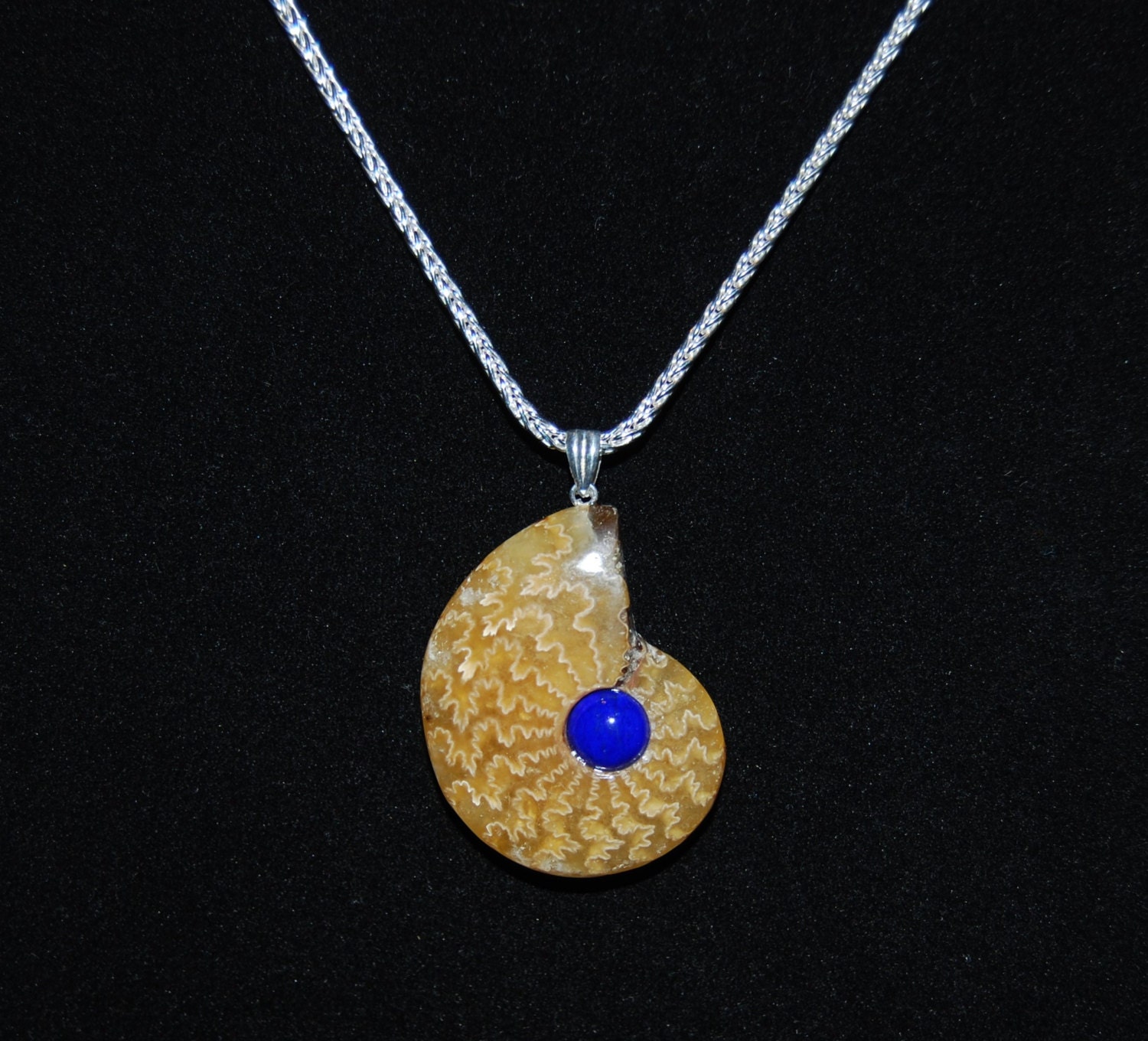 Schöne Polierte Ammoniten-Anhänger Mit Lapis Akzent Und Einer Dicken Sterling Silber Kette Schöne Polierte Ammoniten-Anhänger Mit Lapis Akzent Und Einer Dicken Sterling Silber Kette von ArtifactsandFossils