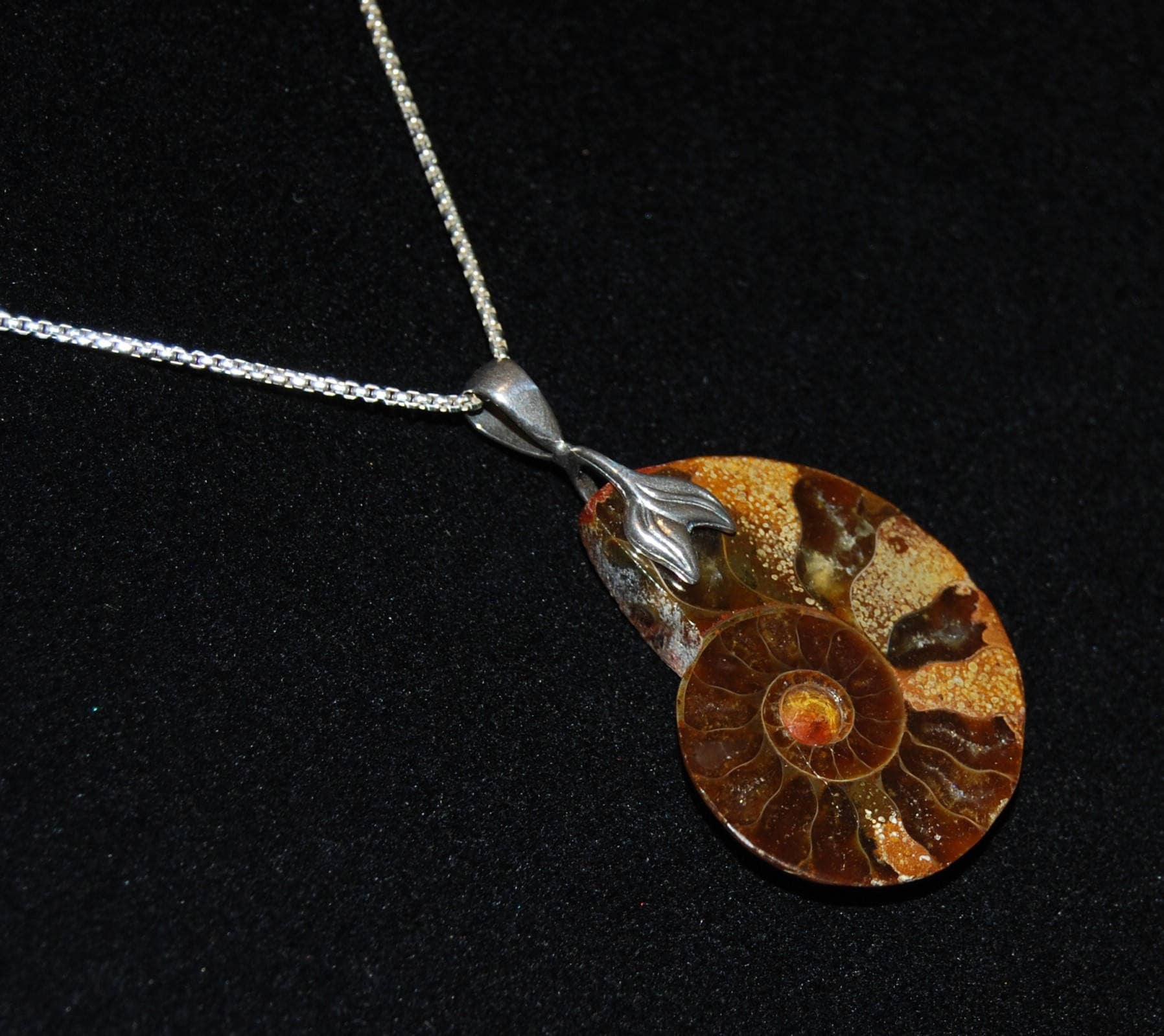 Schöner Polierter Ammonit Anhänger Mit Sonnenstein Akzent Und Sterling Silber Kette Schöner Polierter Ammonit Anhänger Mit Sonnenstein Akzent Und Sterling Silber Kette von ArtifactsandFossils
