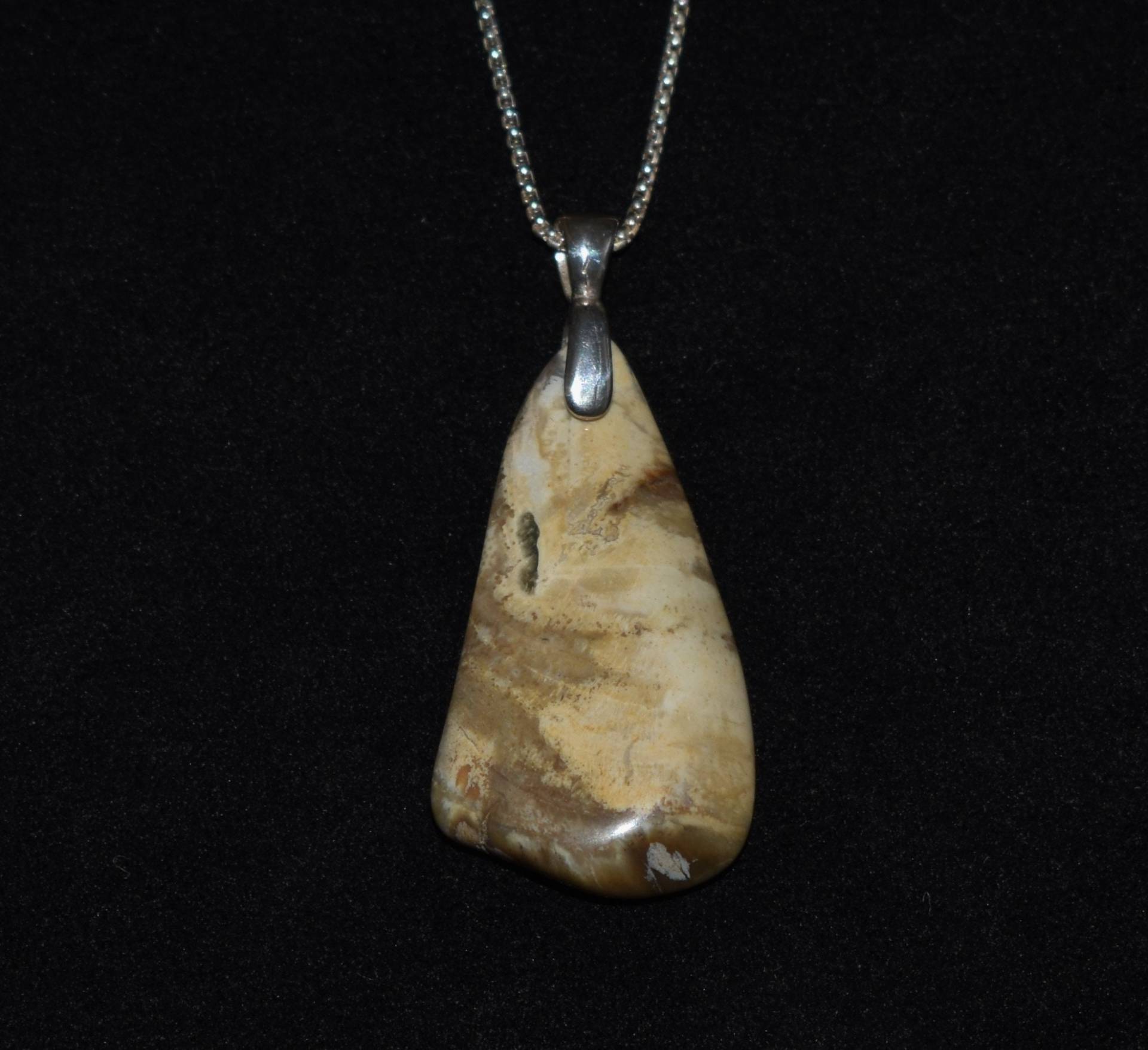 Wunderschöner Anhänger Aus Versteinertem Holz An Einer 925 Silbernen Kette Wunderschöner Anhänger Aus Versteinertem Holz An Einer 925 Silbernen Kette von ArtifactsandFossils