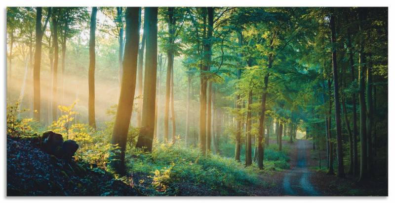 Artland Alu-Dibond-Druck "Herbstmorgen im Wald" Waldbilder 1 Stk. tlg. als Alubild, Outdoorbild, Leinwandbild, Poster in verschied. Größen von Artland