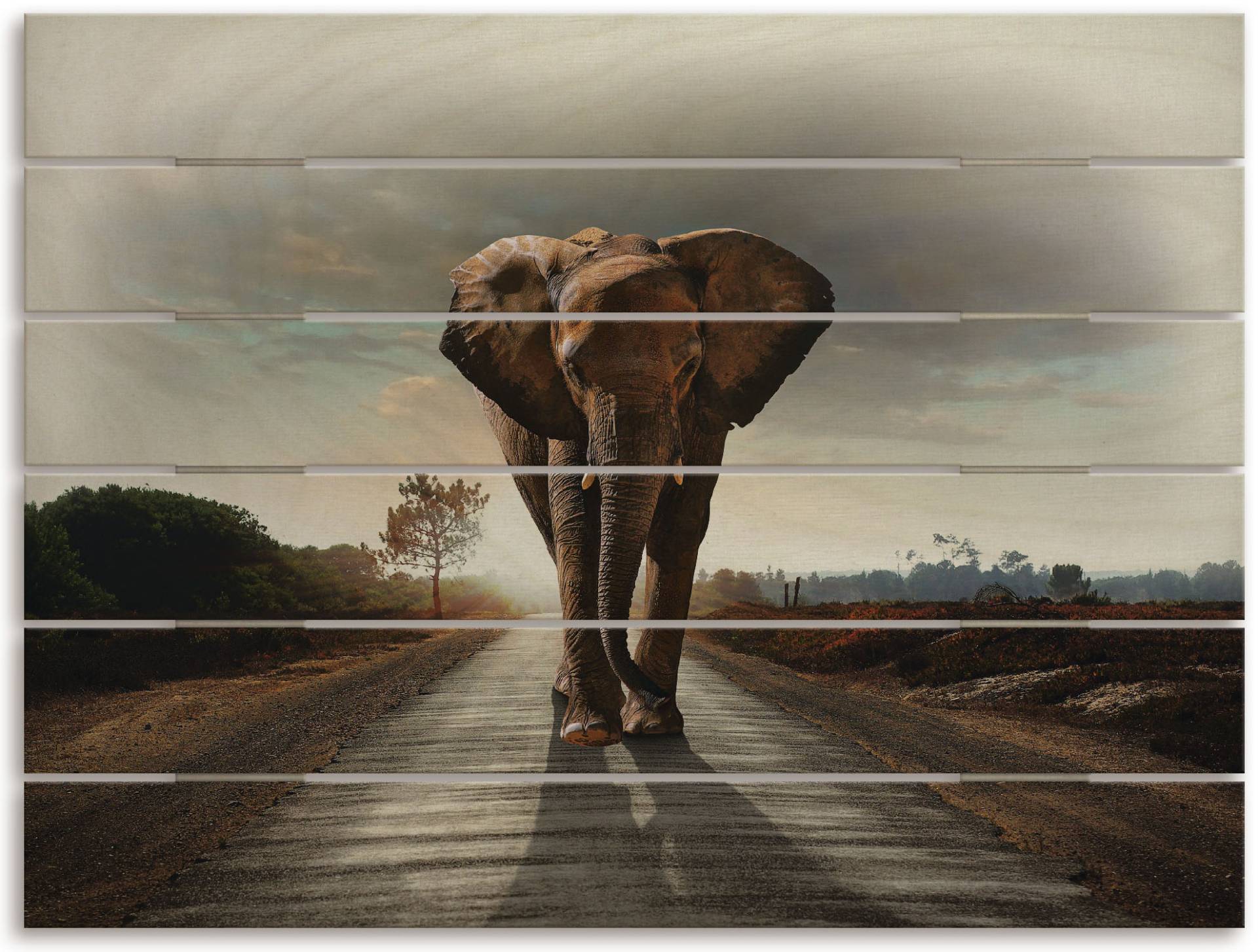 Artland Holzbild "Ein Elefant läuft auf der Straße", Elefanten Bilder, (1 St.) von Artland