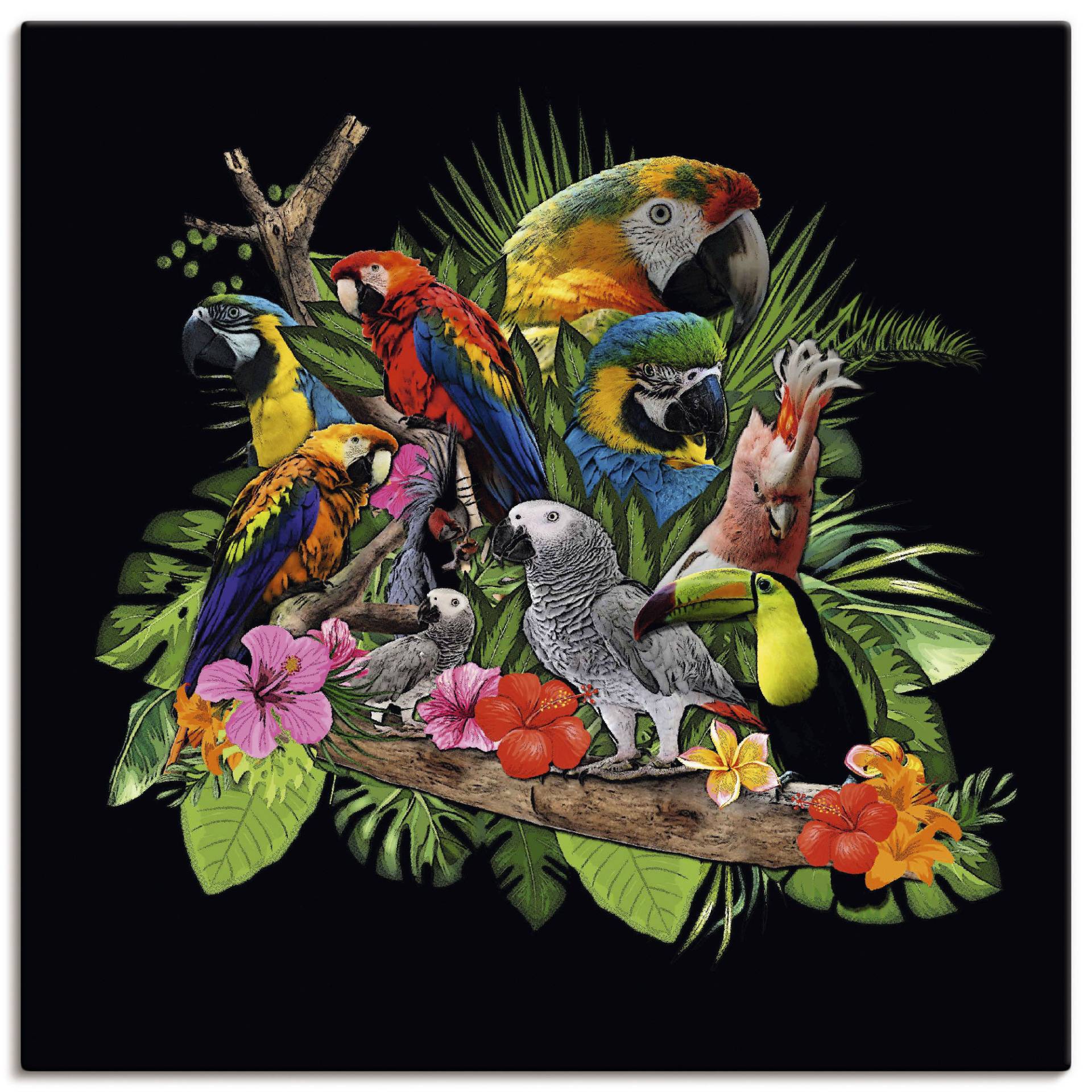 Artland Leinwandbild "Papageien Graupapagei Kakadu Dschungel" Vögel 1 Stk. tlg. als Alubild, Outdoorbild, Leinwandbild, Poster, Wandaufkleber von Artland