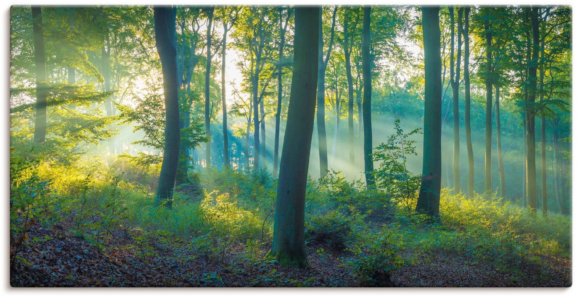 Artland Leinwandbild "Wald Panorama" Waldbilder 1 Stk. tlg. als Alubild, Outdoorbild, Leinwandbild, Poster, Wandaufkleber von Artland