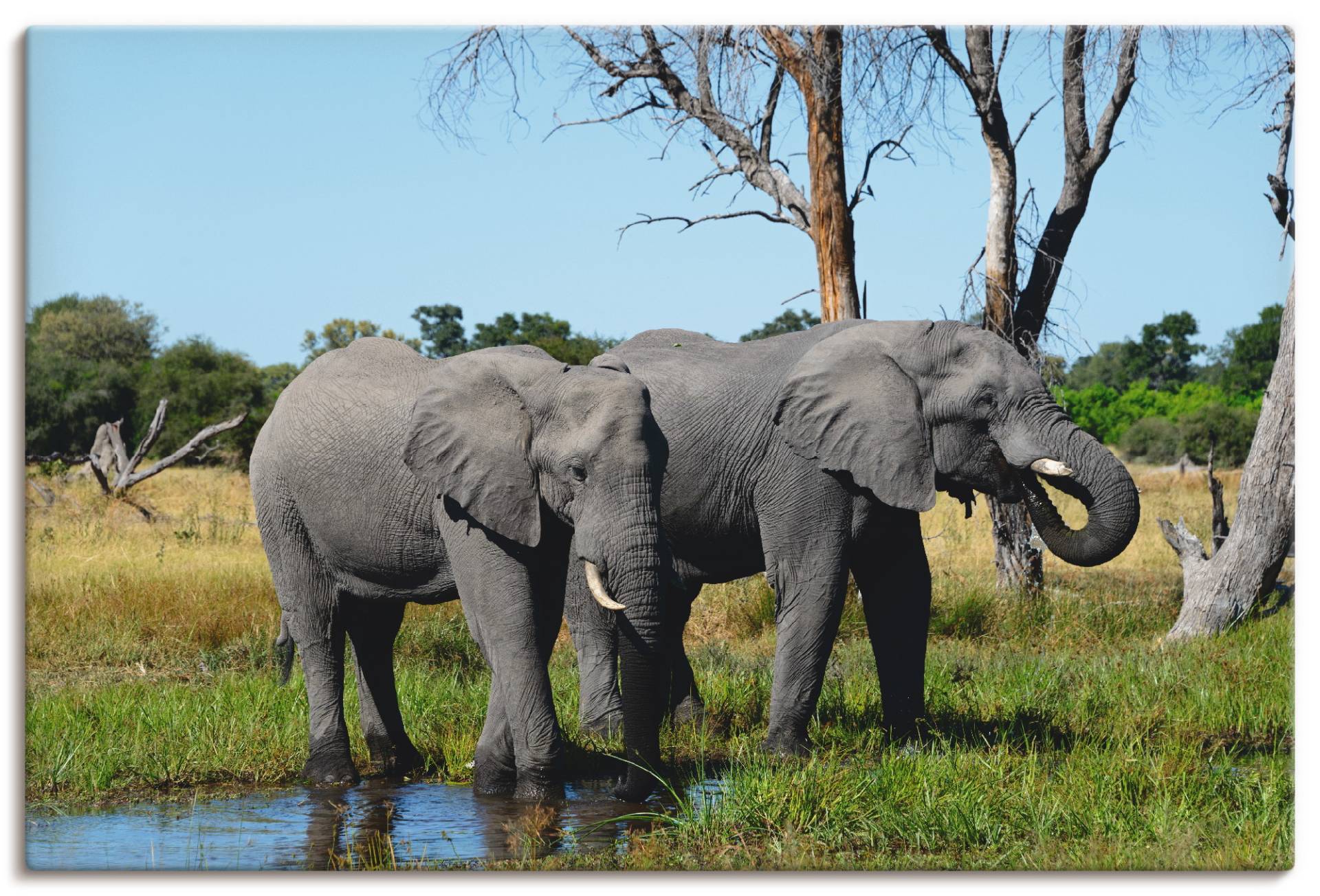 Artland Wandbild "Afrikanische Elefanten", Wildtiere, (1 St.), als Leinwandbild, Poster in verschied. Größen von Artland
