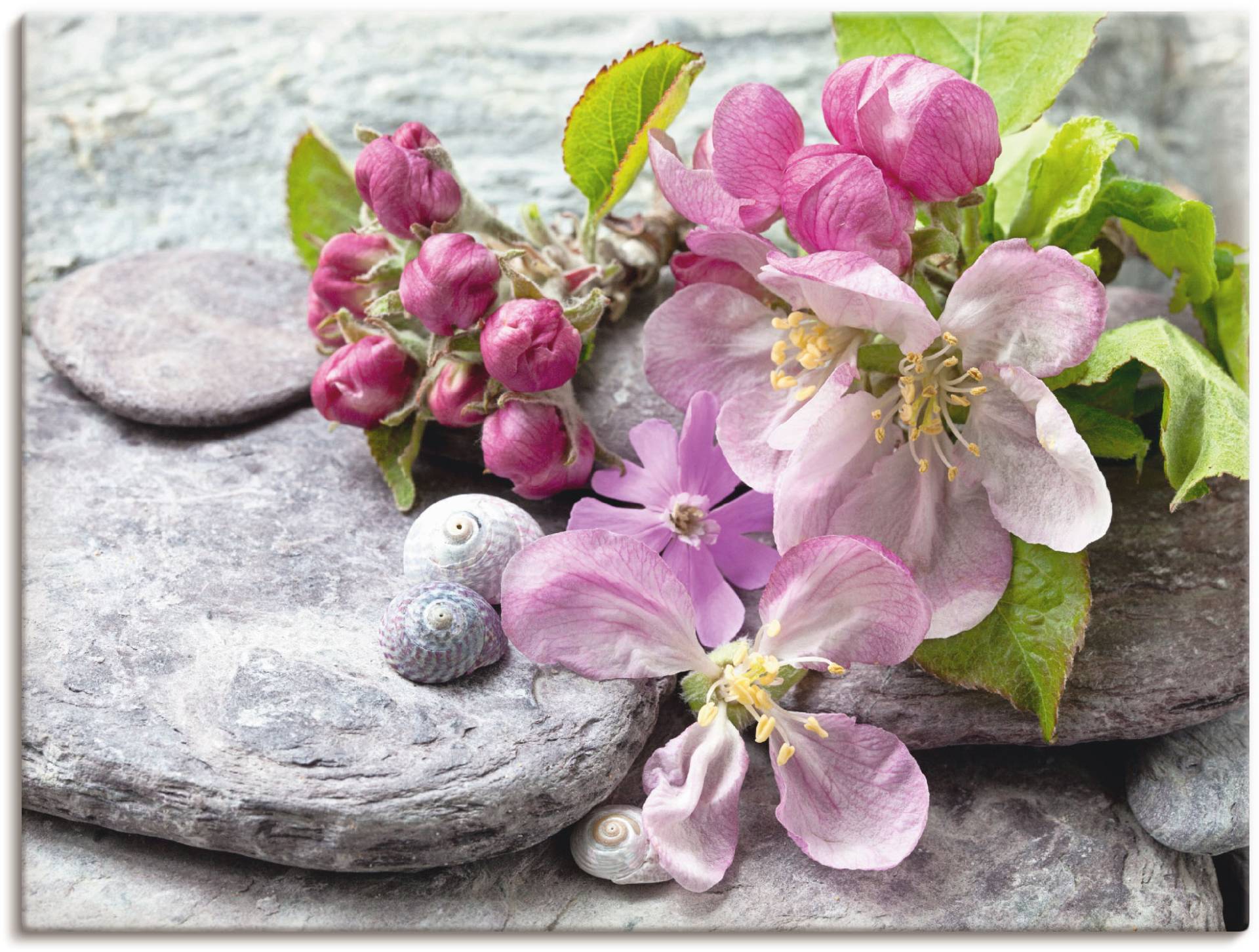 Artland Wandbild "Apfelblüten", Blumen, (1 St.), als Leinwandbild, Poster, Wandaufkleber in verschied. Größen von Artland